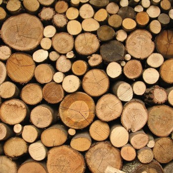 background_logs