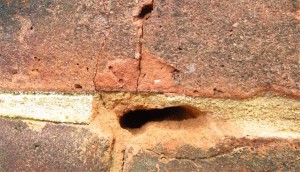 If the Hoop irons are left insitu the walls begin to break down