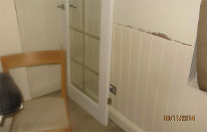 Cladding masking damp
