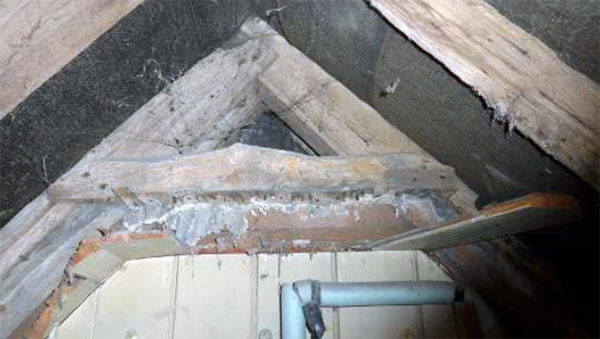 Cobwebs and condensation mould affecting the original timbers