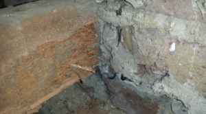 An example of Weevil damage. This type of beetle does not attack dry wood and the best method of preservation is to treat the cause of the dampness and dry the wood out.