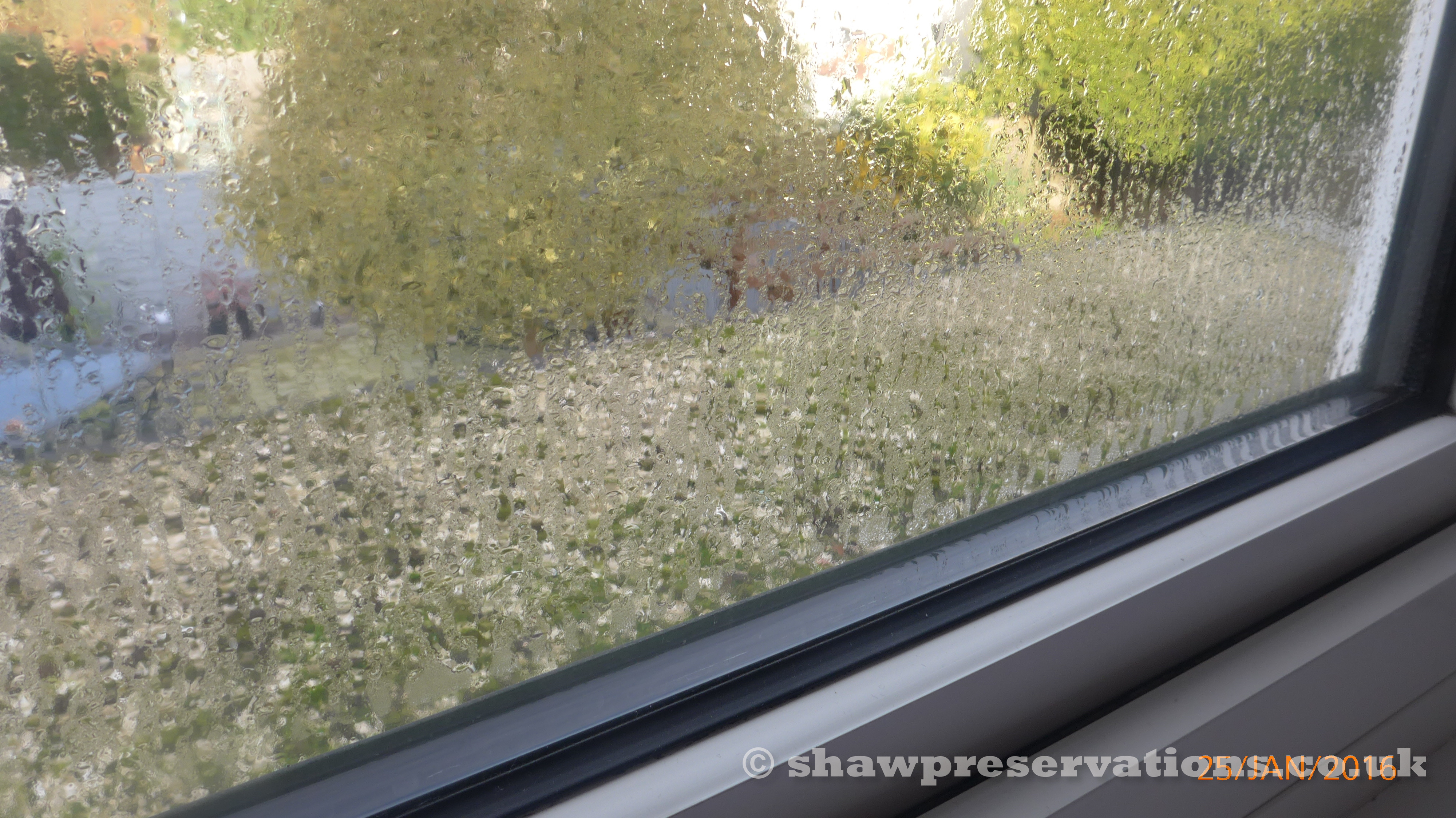 Condensation on windows