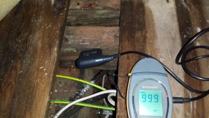 Damp Timber inspection